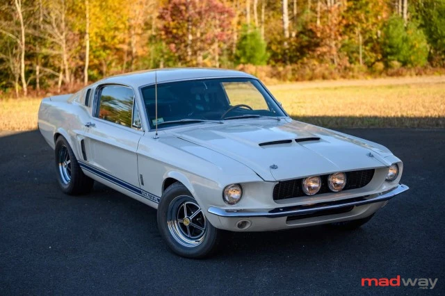1967 Shelby Mustang GT500